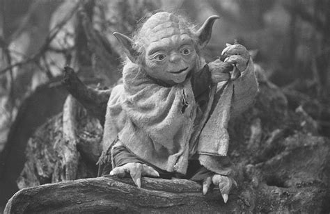 Yoda jims - The species to which the Jedi Grand Master Yoda belonged was ancient and shrouded in mystery. Members of this species were rarely seen anywhere in the galaxy. The few members of this species seen in the galaxy were all Force-sensitive, and the species' homeworld and name were unknown. The species had two known sexes: male and …